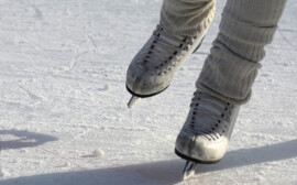 На строительство ЛДС в Новосибирске кабмин выделит 1,6 млрд рублей