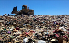 В Новосибирской области по концессии хотят построить четыре мусорных полигона