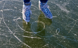 В Новосибирске на продажу выставили ледовую арену за 320 млн рублей