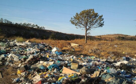 В Новосибирской области одобрили «мусорные» концессии на 9,5 млрд рублей