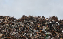 Травников прокомментировал строительство новых мусорных полигонов в Новосибирской области