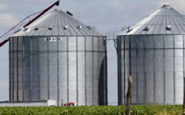 В Новосибирской области за 5 млрд рублей построят крупный элеваторный комплекс