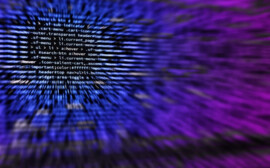 В Новосибирской области назвали приоритеты развития IT-отрасли