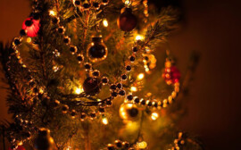 В Новосибирске 25 млн рублей с празднования Нового года направят мобилизованным