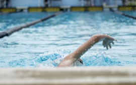 В Новосибирске реконструкция бассейна подорожала до 744 млн рублей