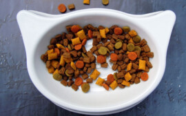 В Новосибирской области продолжат строить завод кормов Nestle