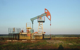 Новак: Россия готова рассмотреть предложения Китая по добыче нефти