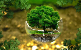 Новосибирская область получит 90 млн рублей на создание экопарка в Оби