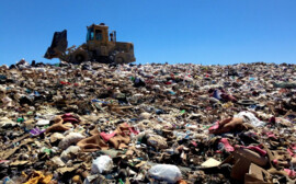 Под Новосибирском комплекс по переработке ТКО построят за 3,4 млрд рублей