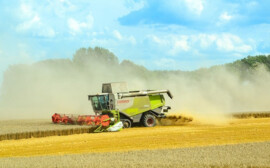 Травников рассказал о мерах поддержки аграриев Новосибирской области