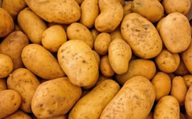 Аграрии Новосибирской области объяснили рост цен на картофель на 33%