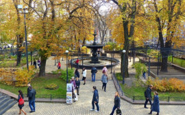 В Новосибирске за счет бюджета купят технику и инструменты для содержания зеленых зон