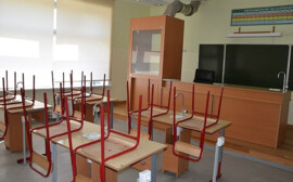 В Новосибирске школу с бассейном построят около Заельцовского бора