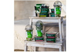 «Коробочка здоровья» для сибиряков