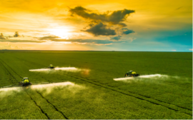 В 2023 году Россельхозбанк направил предприятиям АПК Новосибирской области 19,3 млрд рублей