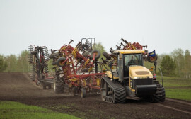 В Новосибирской области стоимость посевной подорожала до 17,5 млрд рублей