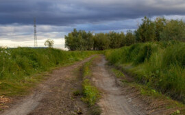 В Новосибирской области выделят участок для строительства завода грузовиков за 20 млрд рублей