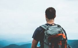 В Новосибирской области поток туристов увеличился на 20%