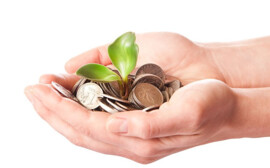 В Новосибирской области ожидают роста инвестиций на 5%