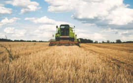 В Новосибирской области на поддержку сельского хозяйства направят более 5 млрд рублей