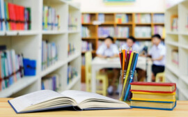 В Новосибирске новую школу построят в микрорайоне «Европейский берег»