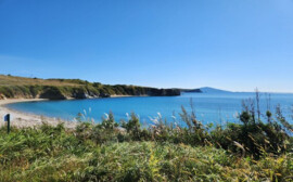 Аналитика МегаФона: новосибирцы хотят отдыхать на побережье Японского моря