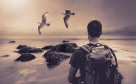 В Новосибирской области налоговый эффект от туризма превысил 13,9 млрд рублей