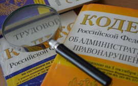 Экономист Коган назвал «микроскопическим» эффект от налога на бездельников