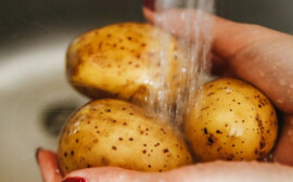 Экономист Остапкович назвал причины роста цен на картофель до 100 рублей
