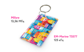 Ключ для домофона с двумя чипами