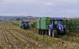 В Новосибирской области фермерские хозяйства столкнулись с дефицитом топлива