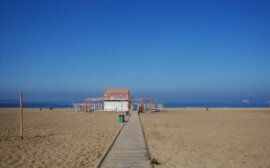 В Новосибирске разрешили купаться на пяти пляжах‍