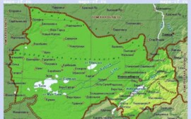 В Новосибирской области ликвидируют бесхозные отстойники спиртового производства