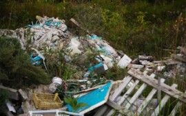 В Новосибирске активисты назвали приостановку «мусорной» концессии попыткой прекратить протесты