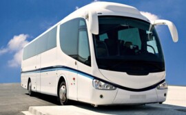 В Новосибирске ищут перевозчика на маршрут до Кольцово на 10 лет