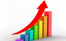 Новосибирские компании признали одними из крупнейших в России