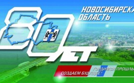 Новосибирские власти заказали коробки-книги почти на полмиллиона рублей