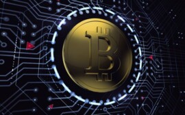 В Новосибирске откроется блокчейн-парк