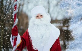 В Новосибирске в детские сады запретили приглашать Дедов Морозов