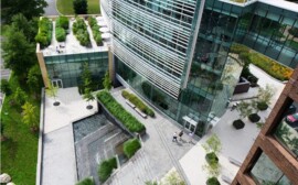 Новосибирские предприниматели заинтересовались сити-фермерством