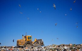 В Новосибирской области откроются новые мусорные полигоны‍ за 634 млн рублей