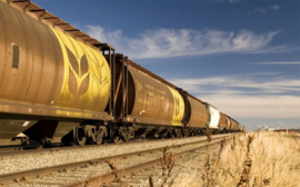 В Новосибирской области экспорт зерна увеличился в 13,5 раза