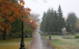 В Новосибирске на городском собрании подвели итоги 2017 года