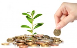 АИР планирует удвоить количество резидентов новосибирского ПЛП