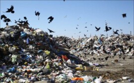 Травников рассказал о борьбе за расторжение мусорной концессии‍