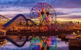 Андрей Травников одобрил идею построить в Новосибирске Диснейленд‍