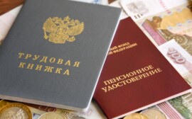 Глава Минпромторга Новосибирской области раскритиковал пенсионную реформу