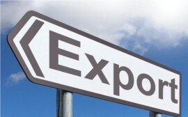 Новосибирская область удвоит экспорт сельхозпродукции к 2020 году