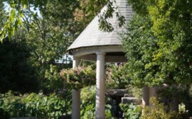 В Новосибирске создадут комитет по вопросам озеленения 