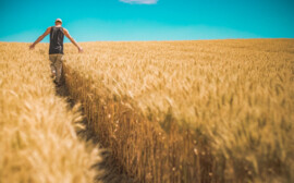 В Новосибирской области обсуждают новый закон о господдержке аграриев